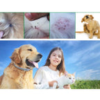 Coleira Anti Pulgas Longa Proteção - Amor PetShop