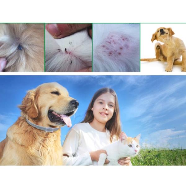 Coleira Anti Pulgas Longa Proteção - Amor PetShop