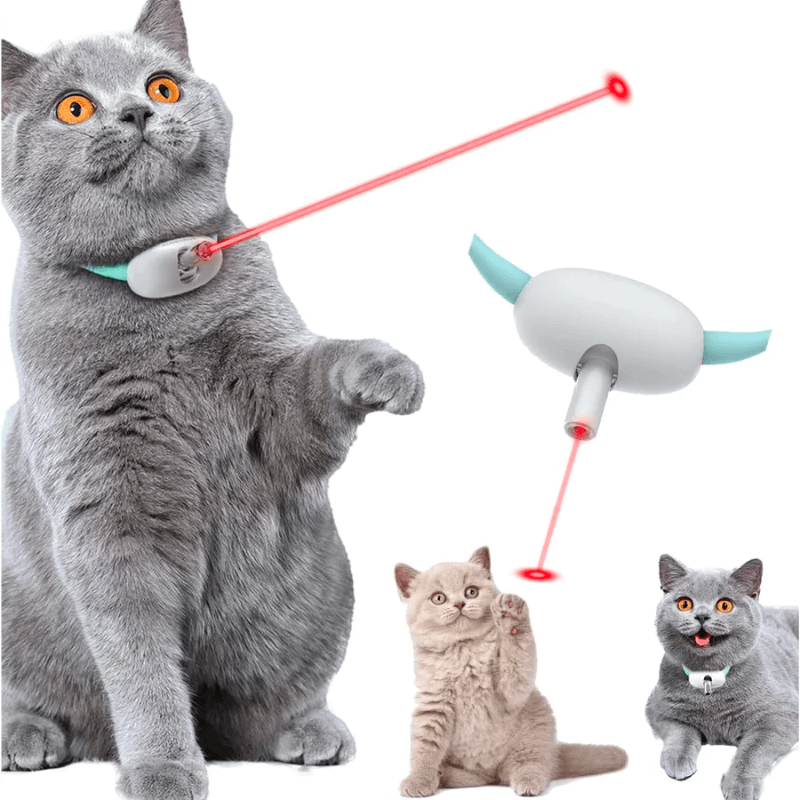 Coleira Inteligente LaserPlay para Gatos - Amor PetShop