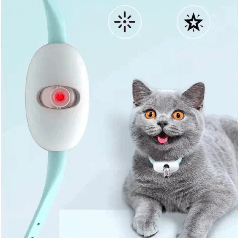 Coleira Inteligente LaserPlay para Gatos - Amor PetShop