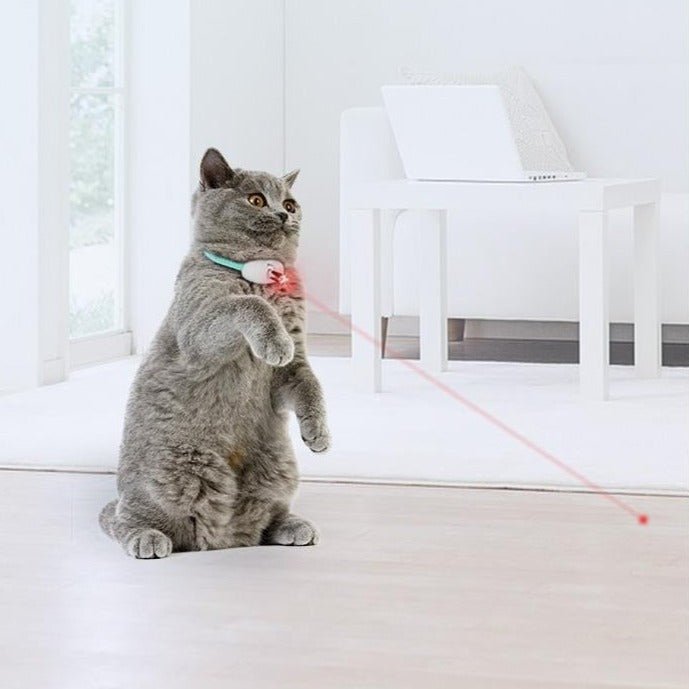 Coleira Inteligente LaserPlay para Gatos - Amor PetShop