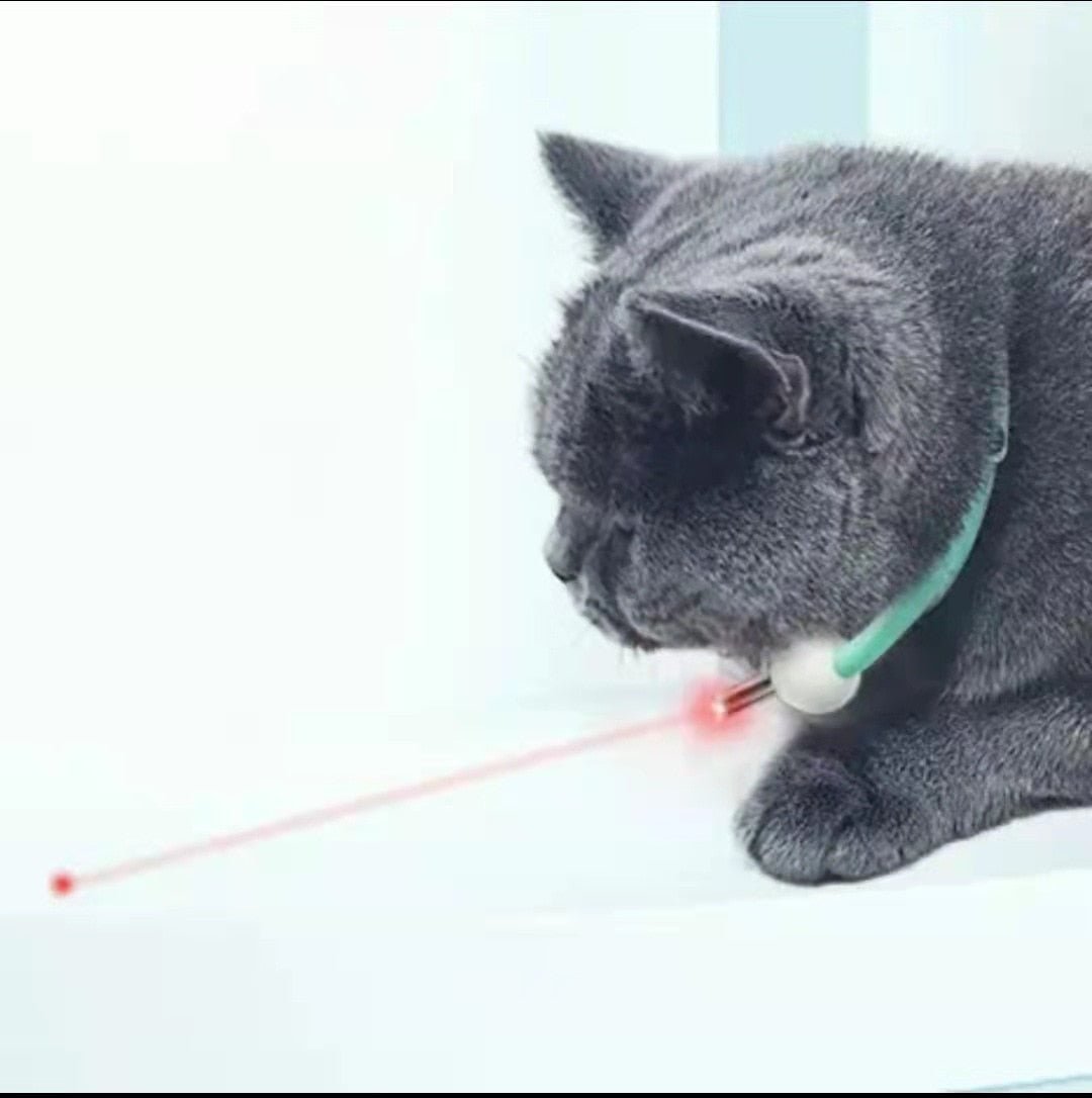Coleira Inteligente LaserPlay para Gatos - Amor PetShop