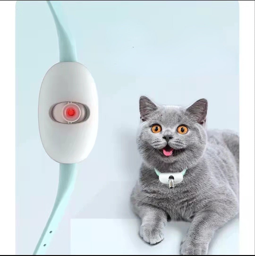 Coleira Inteligente LaserPlay para Gatos - Amor PetShop