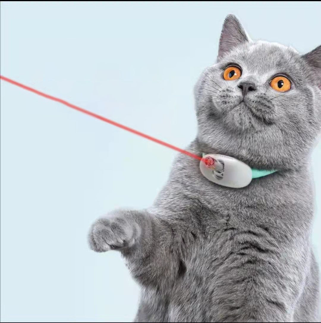 Coleira Inteligente LaserPlay para Gatos - Amor PetShop
