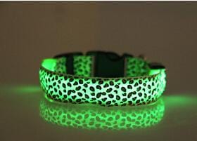 Coleira Leopardo LED - Amor PetShop