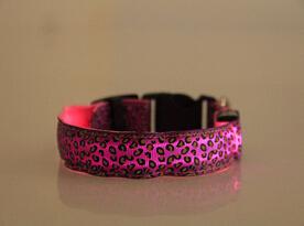 Coleira Leopardo LED - Amor PetShop