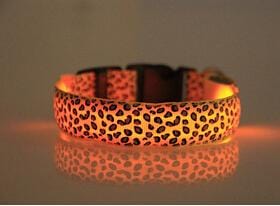 Coleira Leopardo LED - Amor PetShop