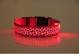 Coleira Leopardo LED - Amor PetShop