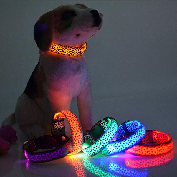Coleira Leopardo LED - Amor PetShop