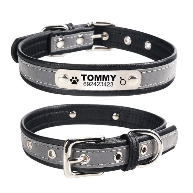 Coleira Personalizável com faixa Refletiva - Amor PetShop