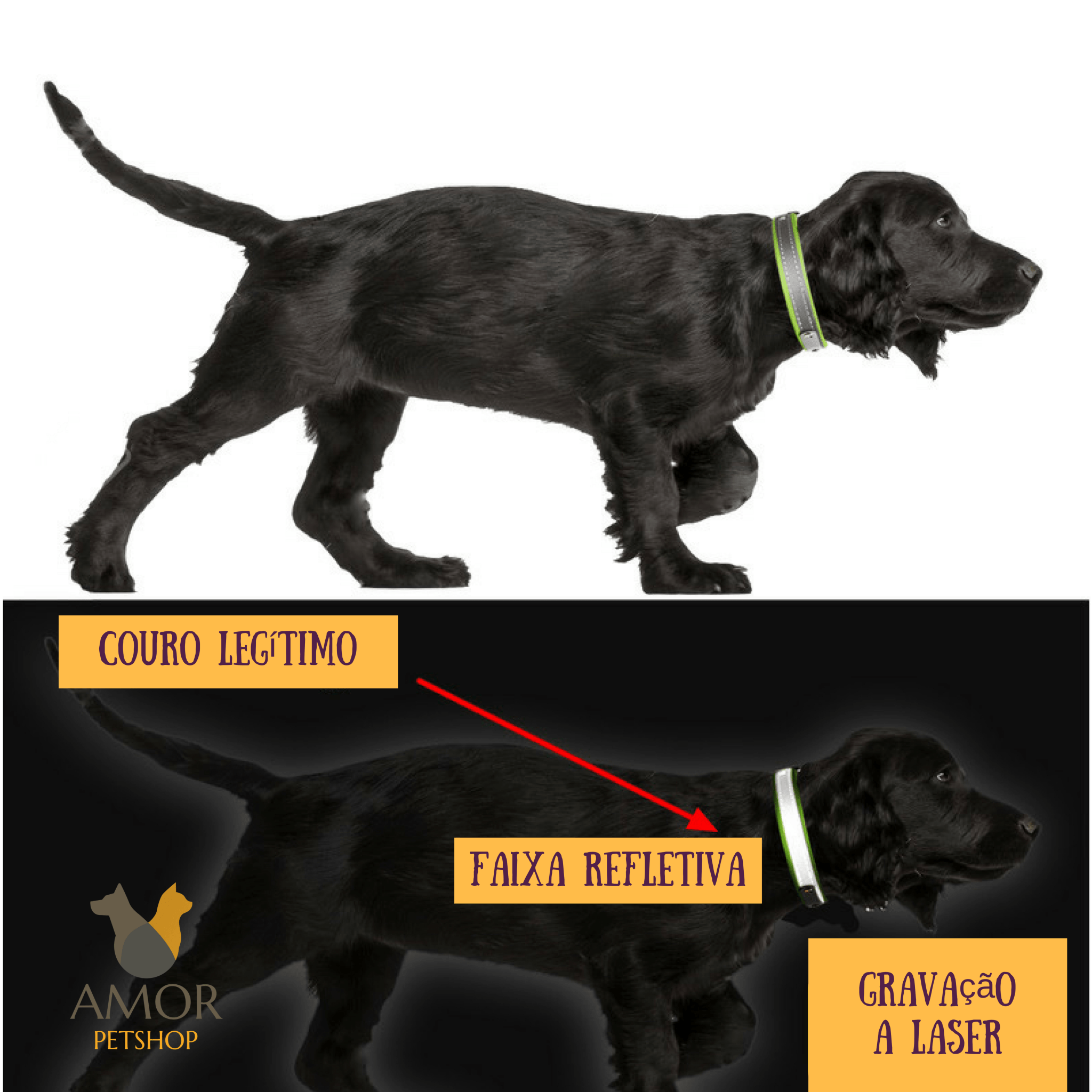 Coleira Personalizável com faixa Refletiva - Amor PetShop
