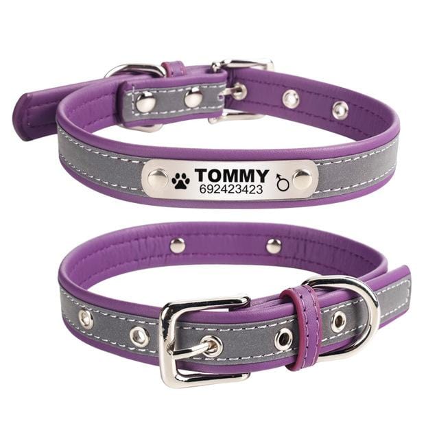 Coleira Personalizável com faixa Refletiva - Amor PetShop