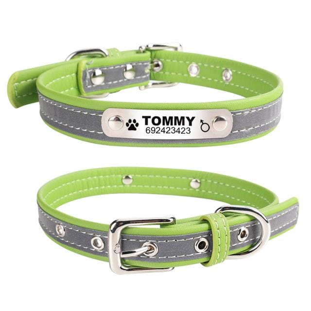Coleira Personalizável com faixa Refletiva - Amor PetShop