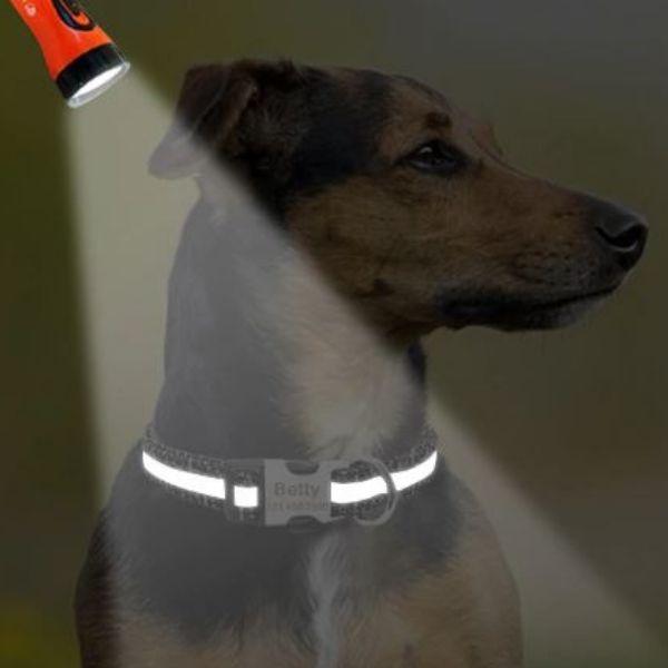 Coleira Personalizável Scooby - com Faixa Refletiva - Amor PetShop