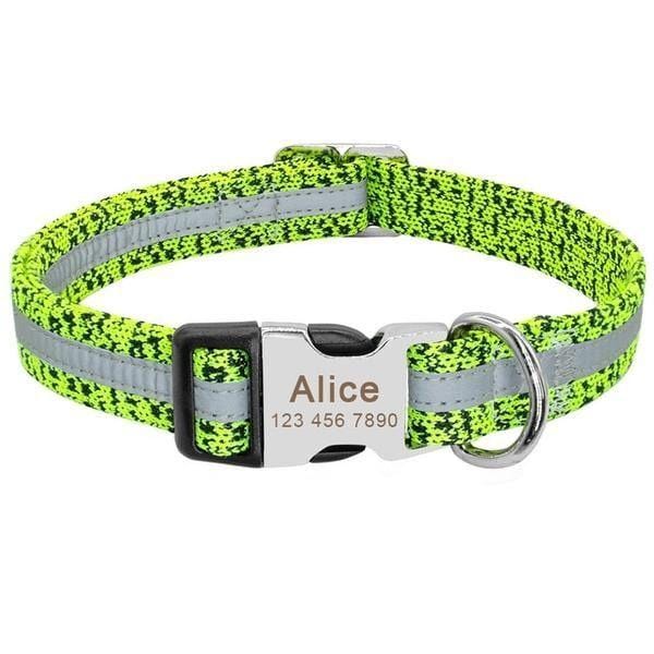 Coleira Personalizável Scooby - com Faixa Refletiva - Amor PetShop