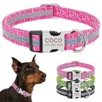 Coleira Personalizável Scooby - com Faixa Refletiva - Amor PetShop