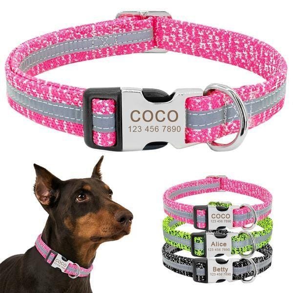 Coleira Personalizável Scooby - com Faixa Refletiva - Amor PetShop