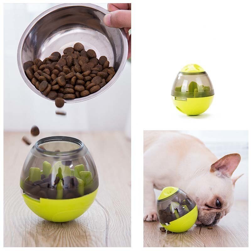 Comedouro Interativo CRAZY LOOP para Cachorro e Gatos - Amor PetShop