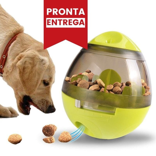 Comedouro Interativo CRAZY LOOP para Cachorro e Gatos - Amor PetShop