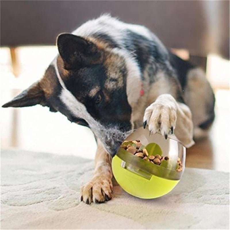 Comedouro Interativo CRAZY LOOP para Cachorro e Gatos - Amor PetShop