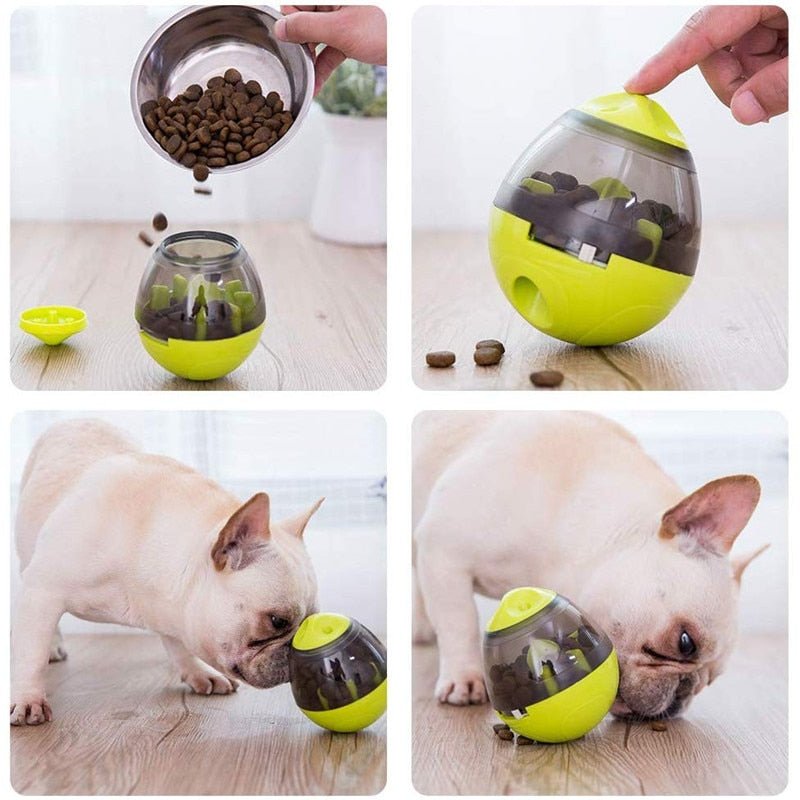 Comedouro Interativo CRAZY LOOP para Cachorro e Gatos - Amor PetShop