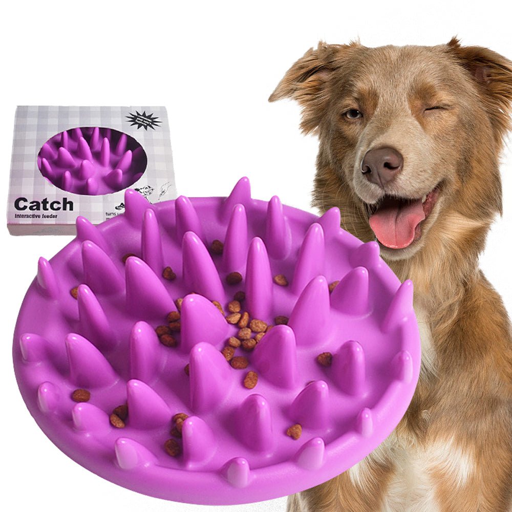 Comedouro Lento Interativo para Cães e Gatos CatchFood - Amor PetShop