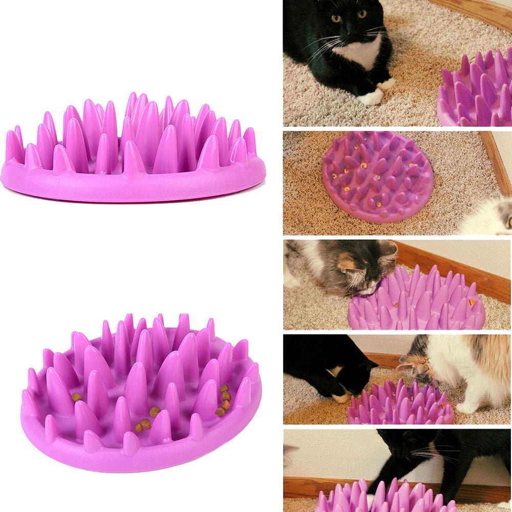 Comedouro Lento Interativo para Cães e Gatos CatchFood - Amor PetShop