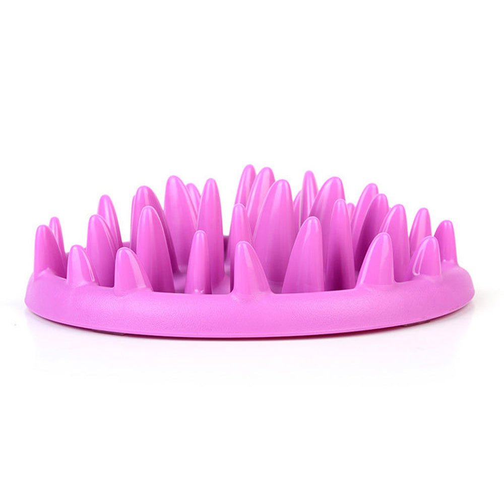 Comedouro Lento Interativo para Cães e Gatos CatchFood - Amor PetShop