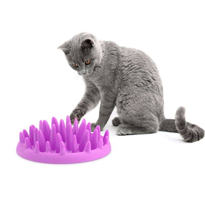 Comedouro Lento Interativo para Cães e Gatos CatchFood - Amor PetShop