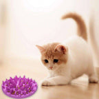 Comedouro Lento Interativo para Cães e Gatos CatchFood - Amor PetShop