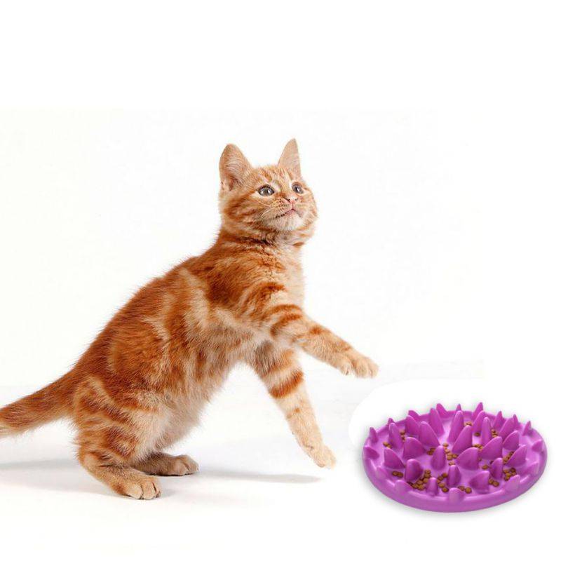 Comedouro Lento Interativo para Cães e Gatos CatchFood - Amor PetShop
