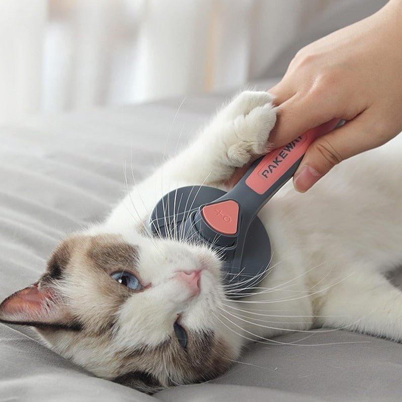 Escova CLEANPET Massageador e Removedora de Pelos - Amor PetShop