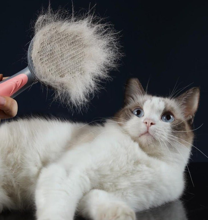 Escova CLEANPET Massageador e Removedora de Pelos - Amor PetShop