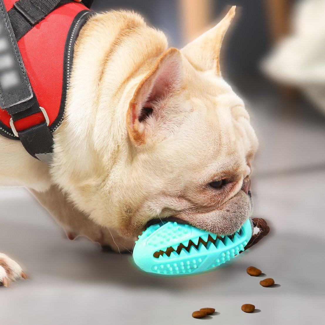 Escova de Dentes Multifuncional Interativa BILLY BALL para Cachorros - Amor PetShop