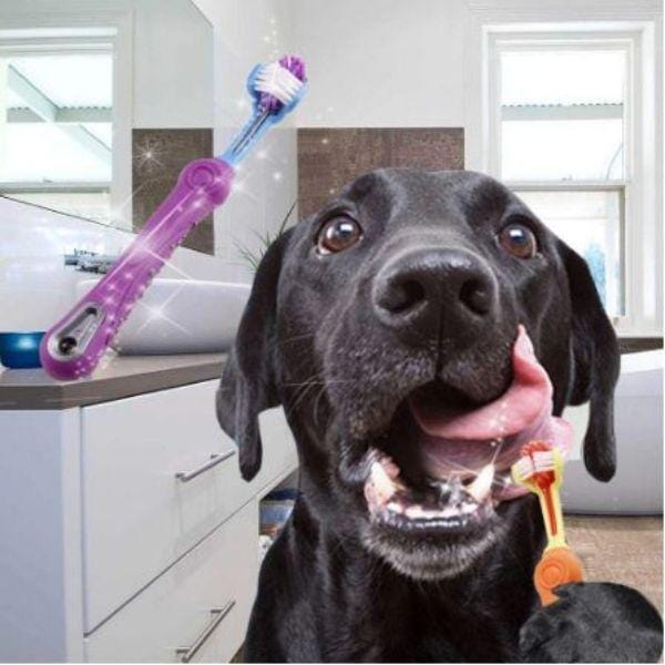 Escova de Dentes Super Clean - Amor PetShop