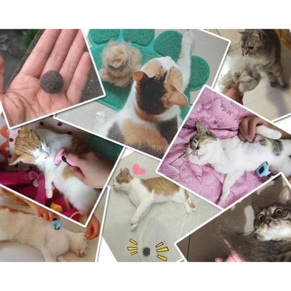 Escova Furminator para Cães e Gatos - Amor PetShop