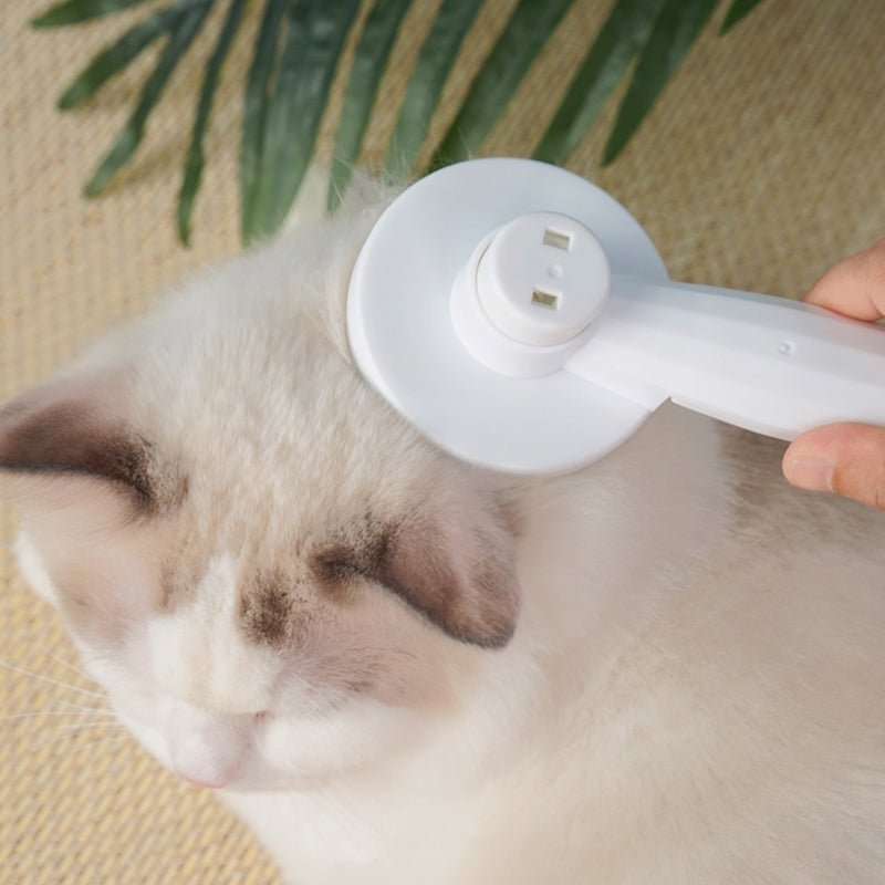 Escova SuperBrush Massageador e Removedora de Pelos para Cães e Gatos - Amor PetShop