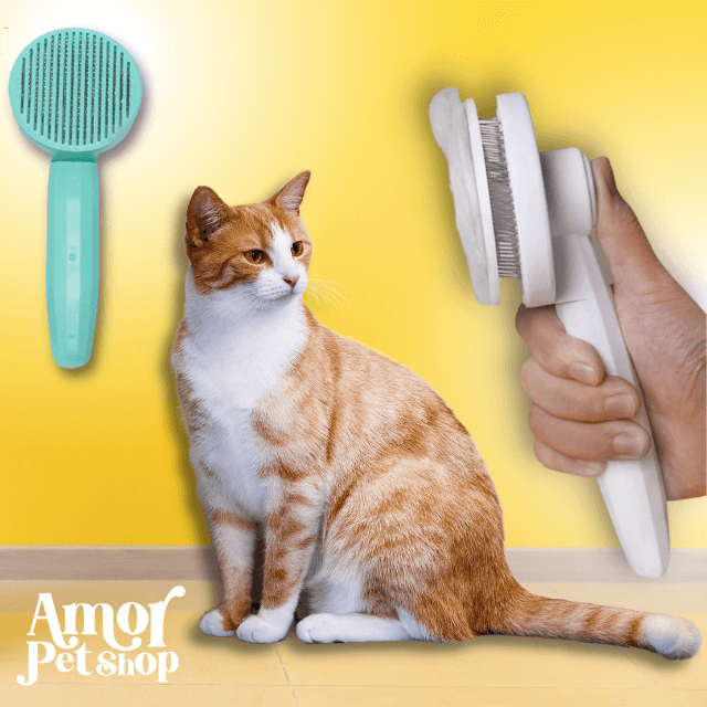 Escova SuperBrush Massageador e Removedora de Pelos para Cães e Gatos - Amor PetShop