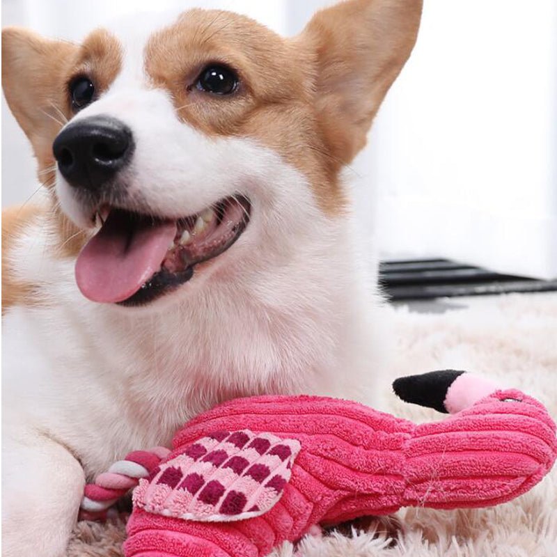 Flamingo Amigo Brinquedo Mastigável Anti Stress para Cães [Pague 1 leve 2] - Amor PetShop