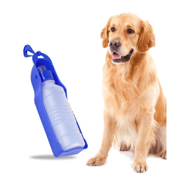 Garrafa Bebedouro para Cães e Gatos H2O Azul - Amor PetShop