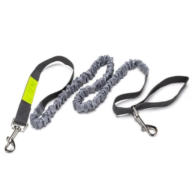 Guia de Corrida para Cães - Amor PetShop
