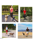 Guia de Corrida para Cães - Amor PetShop