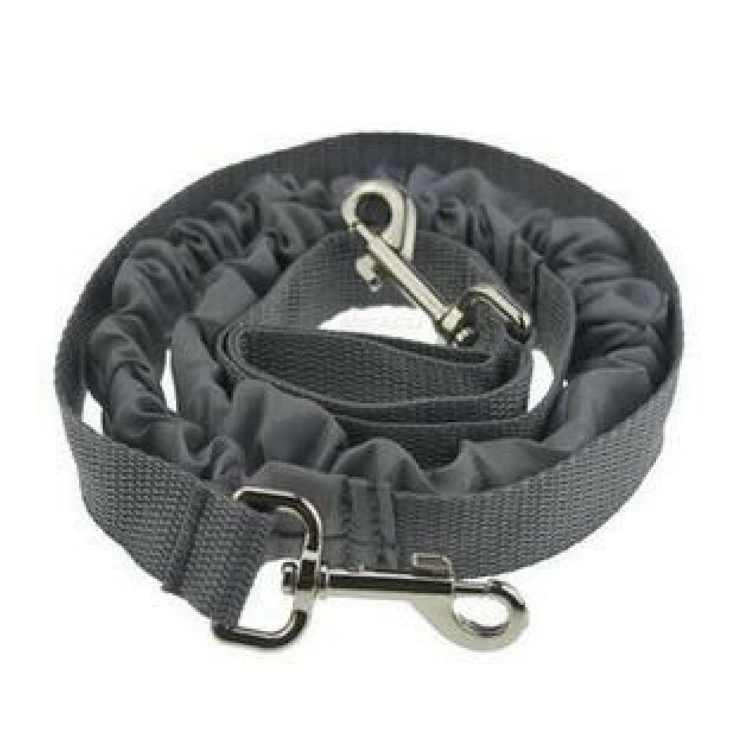 Guia de Corrida para Cães - Amor PetShop