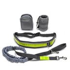 Guia de Corrida para Cães - Amor PetShop