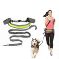 Guia de Corrida para Cães - Amor PetShop