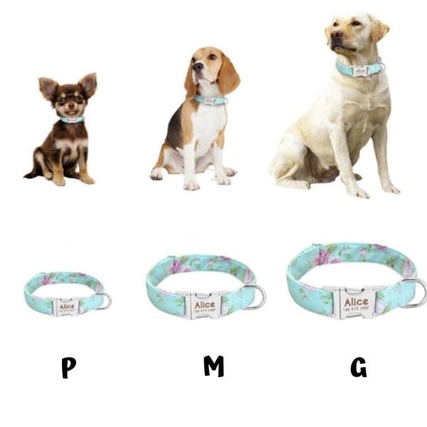 Guia e Coleira Happy - com Plaquinha Personalizada - Amor PetShop