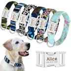 Guia e Coleira Happy - com Plaquinha Personalizada - Amor PetShop