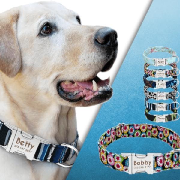 Guia e Coleira Happy - com Plaquinha Personalizada - Amor PetShop