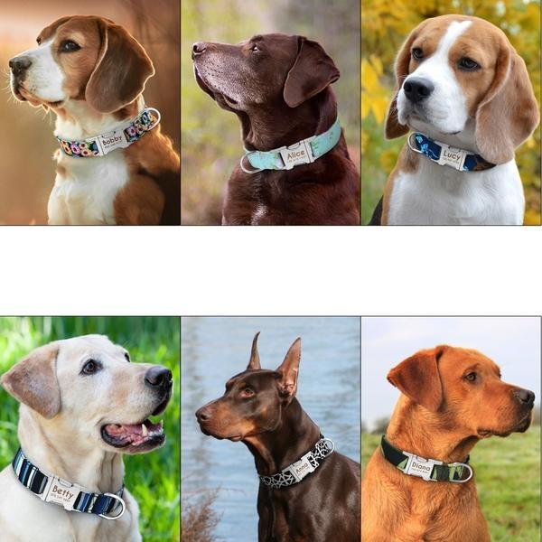 Guia e Coleira Happy - com Plaquinha Personalizada - Amor PetShop