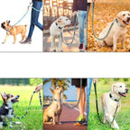 Guia e Coleira Happy - com Plaquinha Personalizada - Amor PetShop